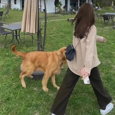 明亮的心