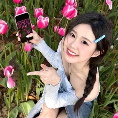尘网曦光